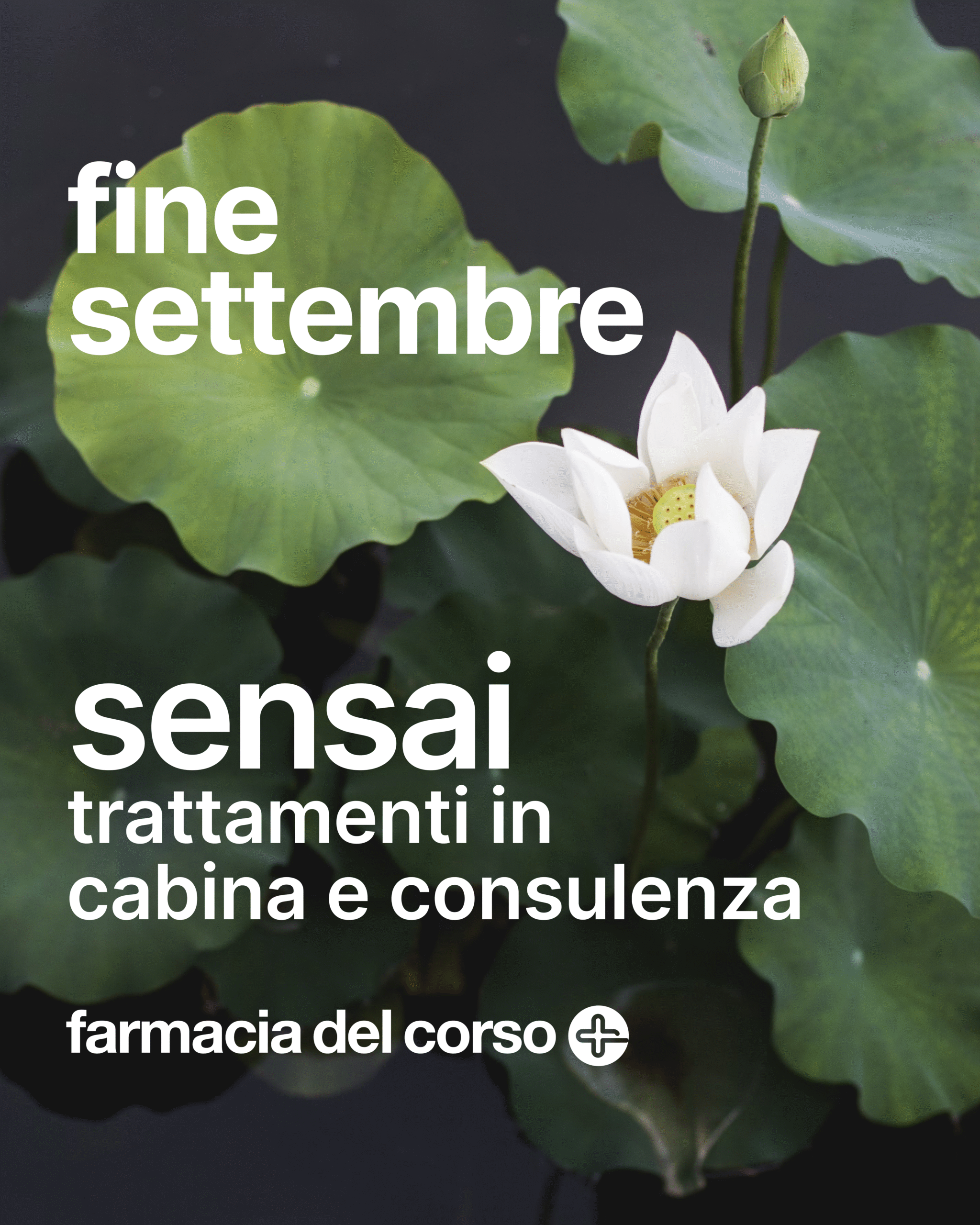 Locandina Farmacia Del Corso per l'evento Sensai dei giorni 23, 24 e 25 settembre 2025 per trattamenti in cabina con consulenza